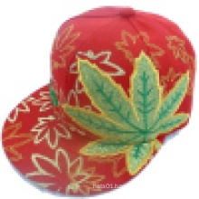 New Design Fashion Baseball Cap with Snapback and Joined Applique 25